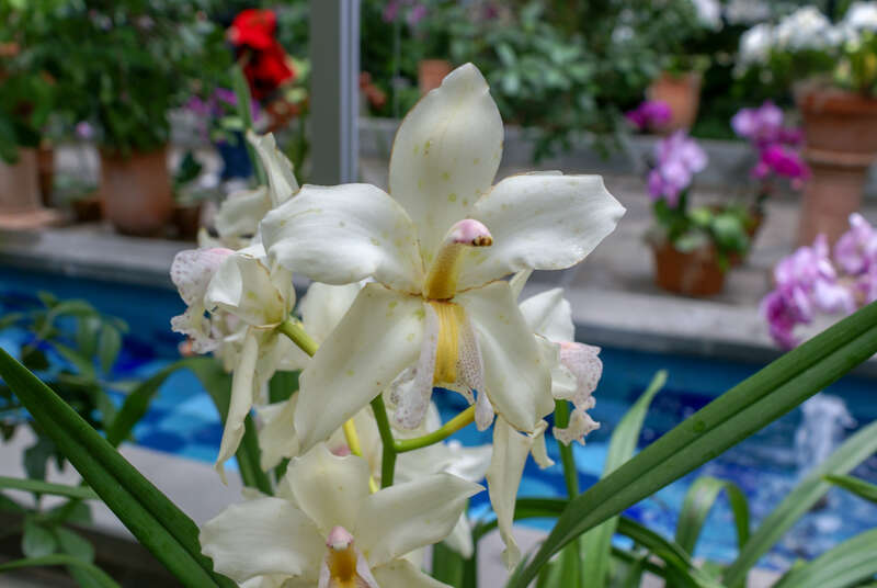 United States Botanic Garden