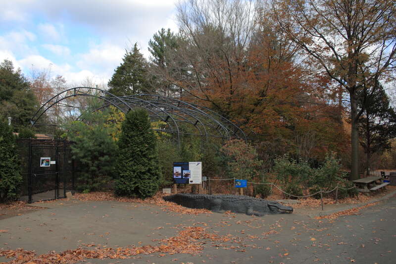 The Wetlands Aviary enclosure at Beardsley Zoo


Camera location41° 12′ 39.98″ N, 73° 10′ 50.06″ W View this and other nearby images on: OpenStreetMap 41.211105;  -73.180573