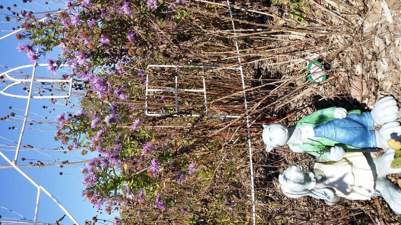 Eldon, IA 52554, USA