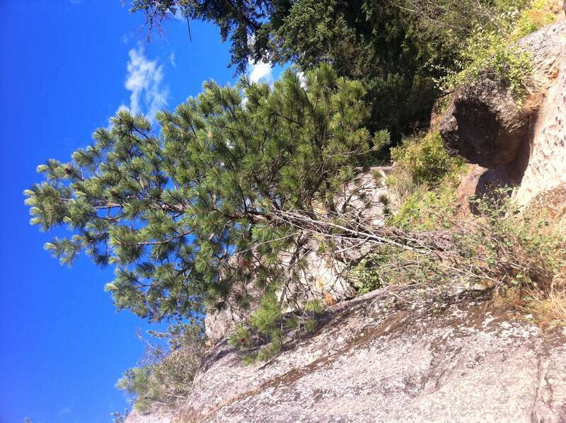 Hiking in Coeur d'Alene