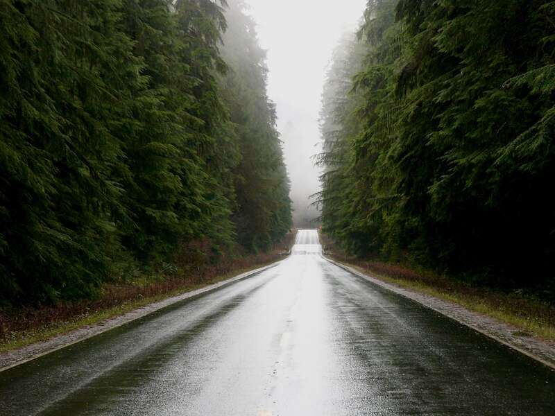 Old-growth coastal temperate rain forest along U.S. Route 101. Shot is taken on the Olympic Peninsula in the U.S. state of Washington.