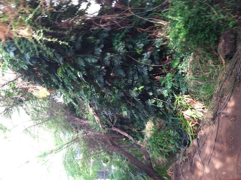 Pinal County, AZ, USA