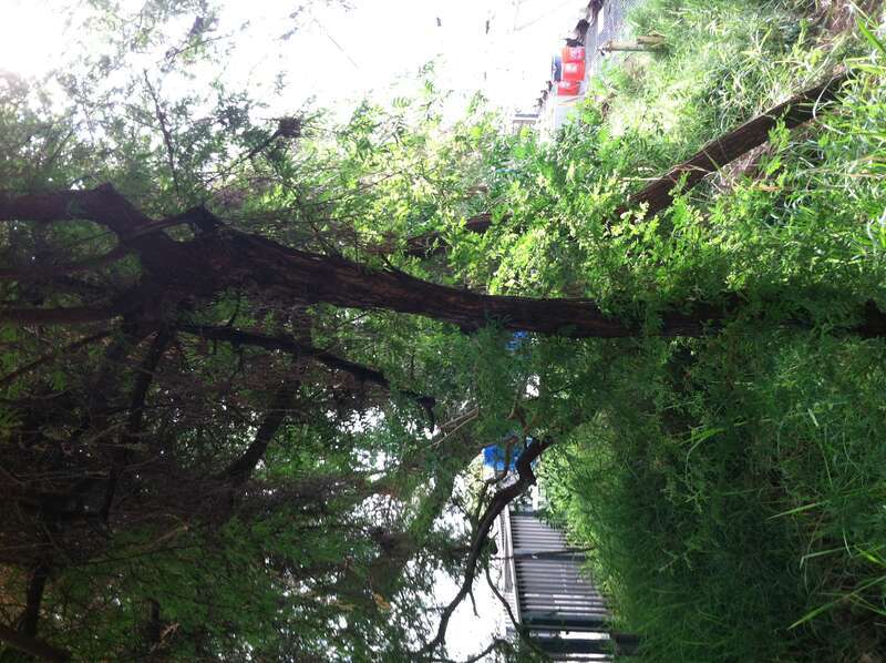 Pinal County, AZ, USA