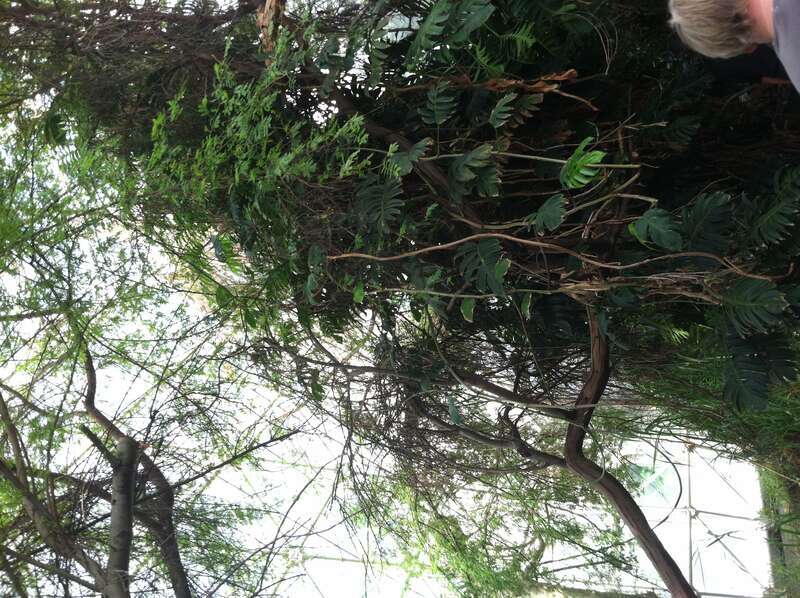 Pinal County, AZ, USA