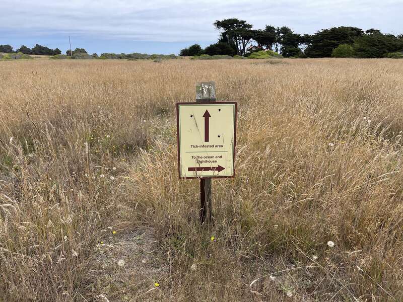 North Trail at Point Cabrillo Light Station State Historic Park.