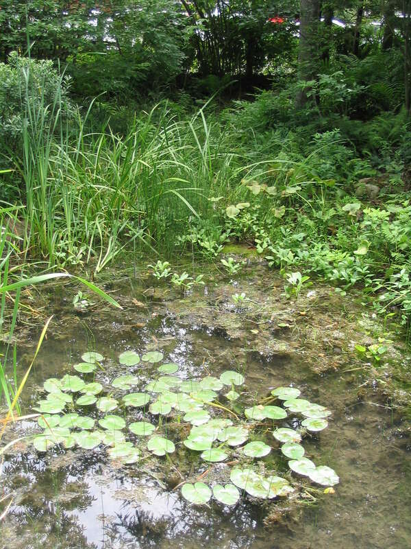 Acadia National Park is a National Park located in the U.S. state of Maine. It reserves much of Mount Desert Island, and associated smaller islands, off the Atlantic coast. Originally created as Lafayette National Park in 1919, the oldest National