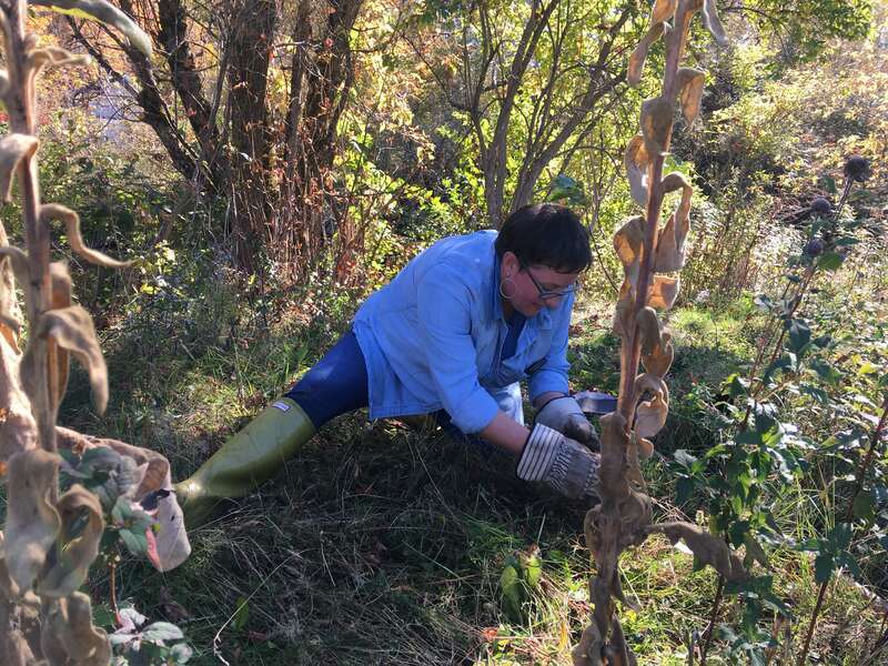 Staff Development Day 2016