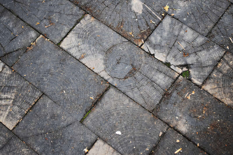Wooden Alley, behind the Archbishop's Residence, 1155 North State Parkway, Chicago.

&amp;lt;a href=&quot;https://www.flickr.com/photos/crawfordbrian/35243458923/in/dateposted-public/&quot;&amp;gt;www.flickr.com/photos/crawfordbrian/35243458923/in/datepo...&amp;lt;/a&amp;gt;