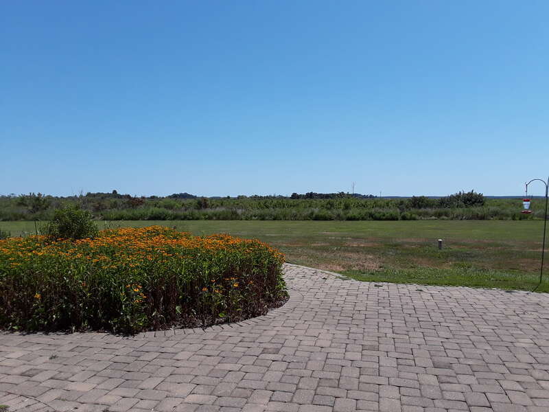 Blackwater NWR visitors center and grounds.