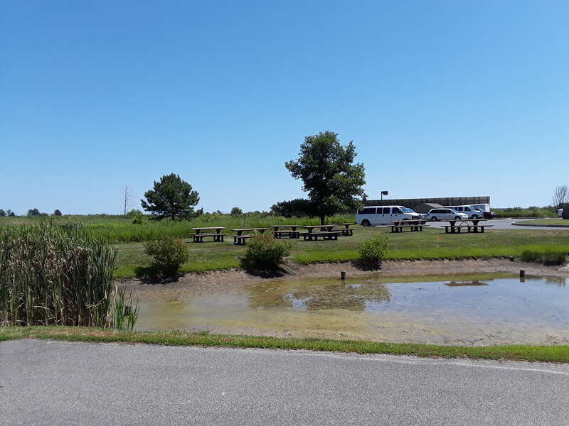 Blackwater NWR visitors center and grounds.
