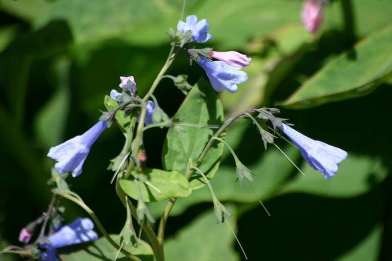 Castle Danger - Duluth - Spring 2008