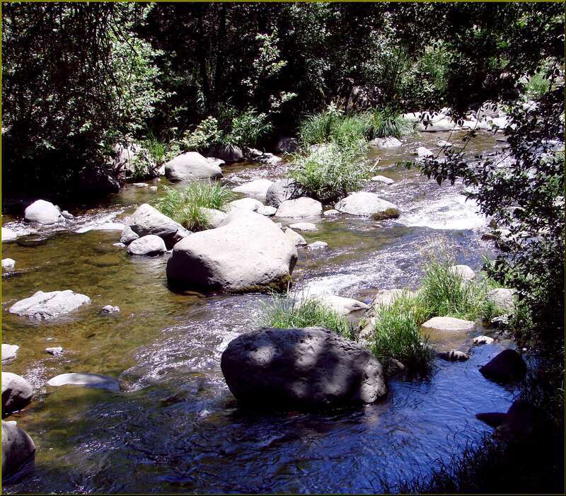 (1 in a multiple picture set)
There is something about a cold mountain stream that makes me keep clicking the shutter. I like the light at this place, ans the shadows. Looking at it now, I can almost feel the cold water in the shade at the edge.