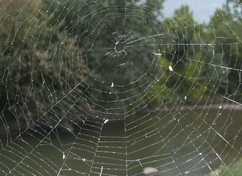 White River Bridge, Muncie, Indiana
