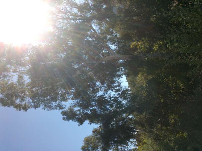 Boyce Thompson Arboretum, Superior, Arizona