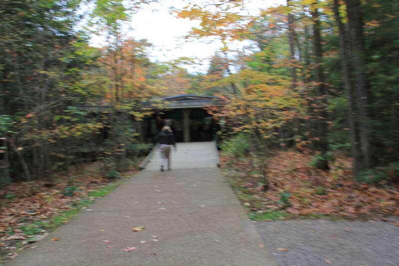 FallingWaters fall colors