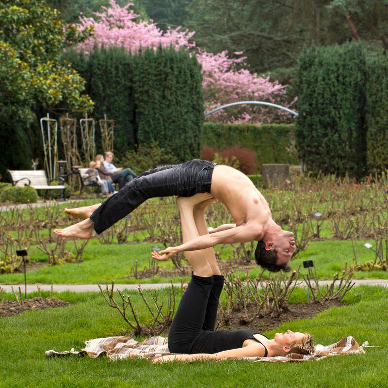 A serendipitous find while wandering in the park.