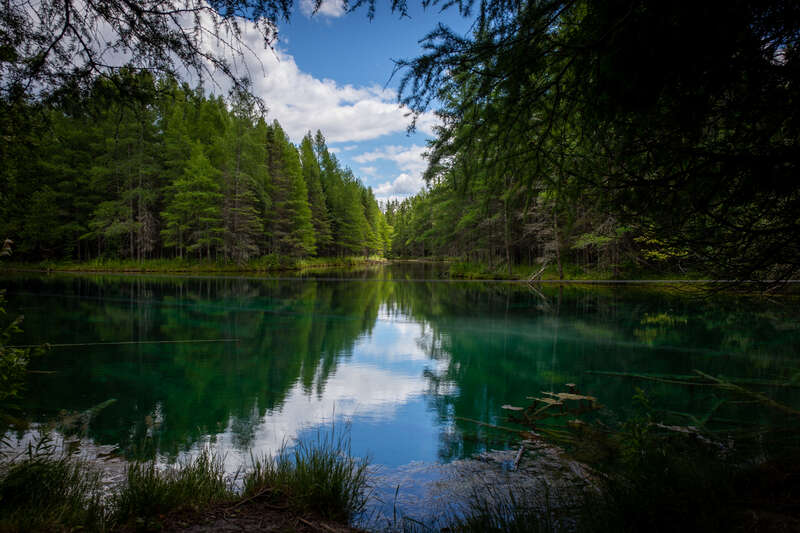 Kitch-iti-kipi as seen from the western shore from the tourist pathway approaching the raft.
