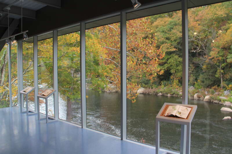 Ohiopyle fall colors