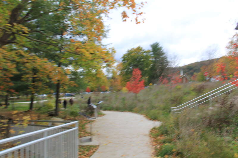 Ohiopyle fall colors
