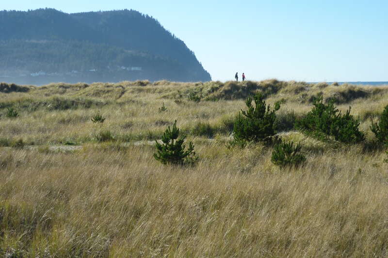 Seaside - Tillamook Head seen from the Prom.