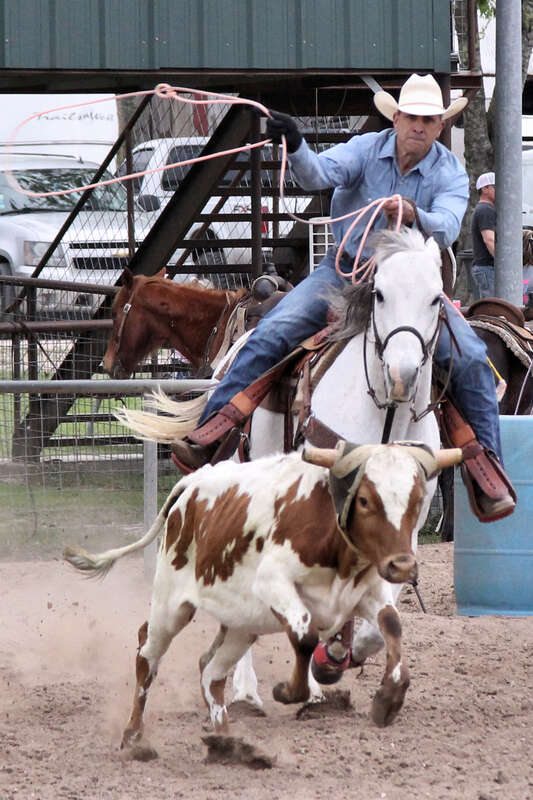 Jackpot team roping event in New Braunfels, Texas, United States. The header is just leaving the box.