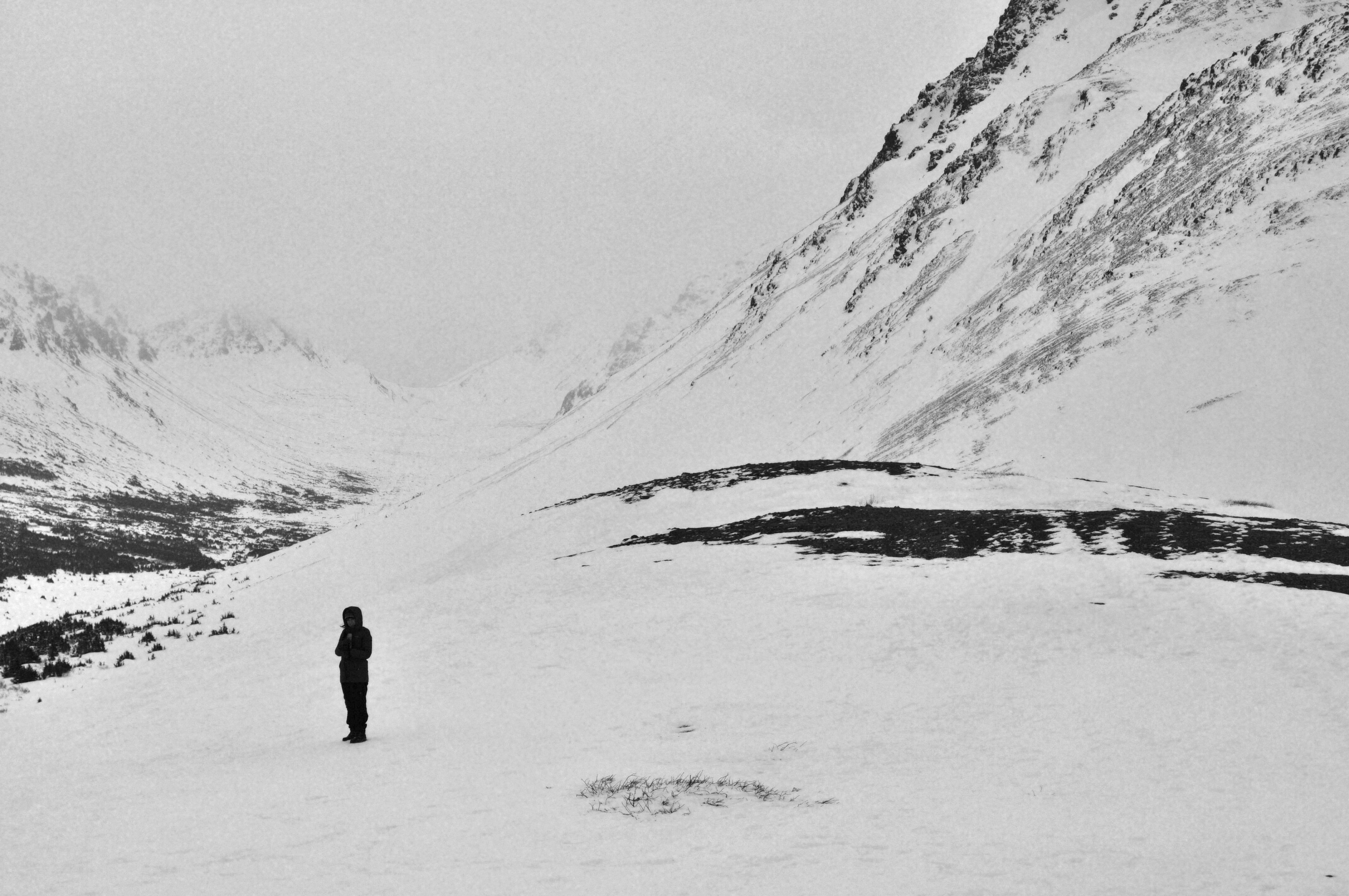 Walking alone in the cold quietness of Alaskan winter.

winterbear.com