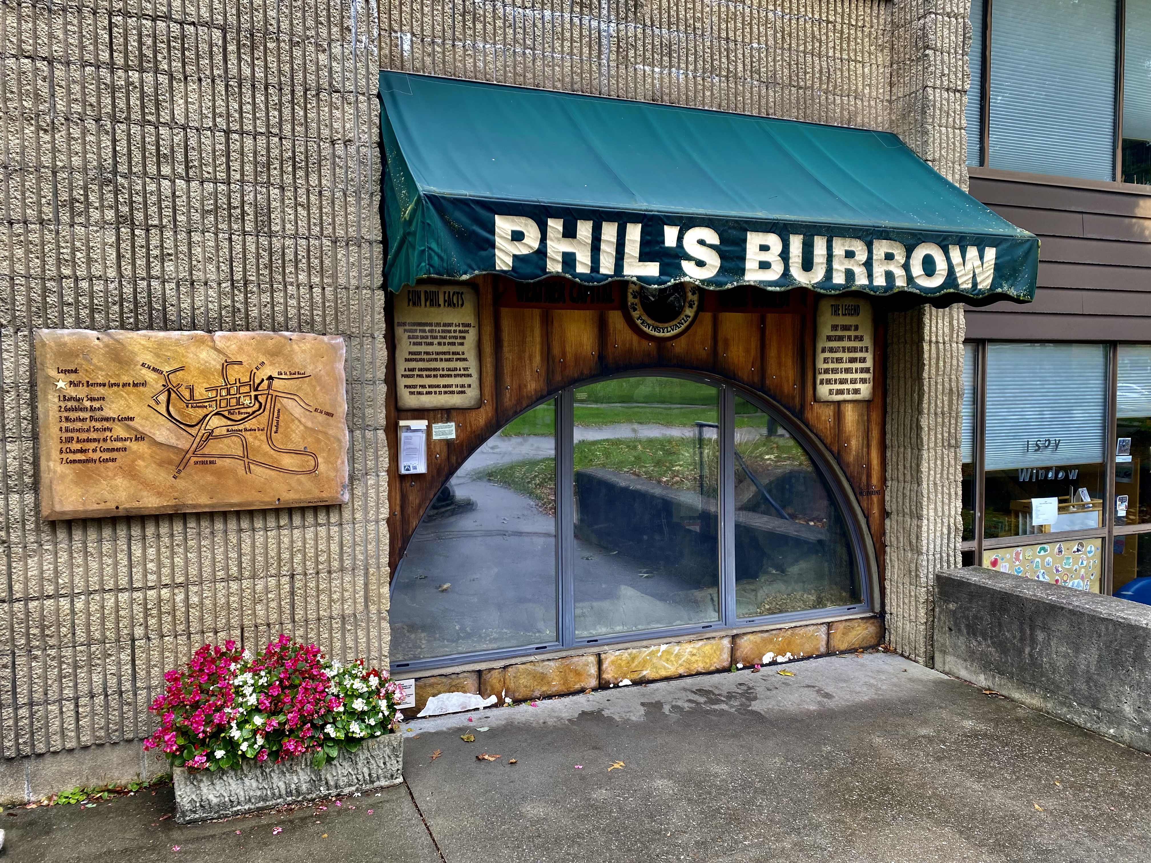 When he's not attending to his annual duties at Gobbler's Knob, you'll find Punxsutawney, Pennsylvania's resident celebrity groundhog relaxing in "Phil's Burrow", a glass-enclosed, climate-controlled terrarium built into the walls of the public