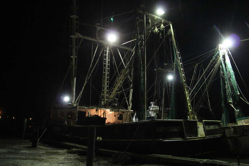 Chincoteague Island VA