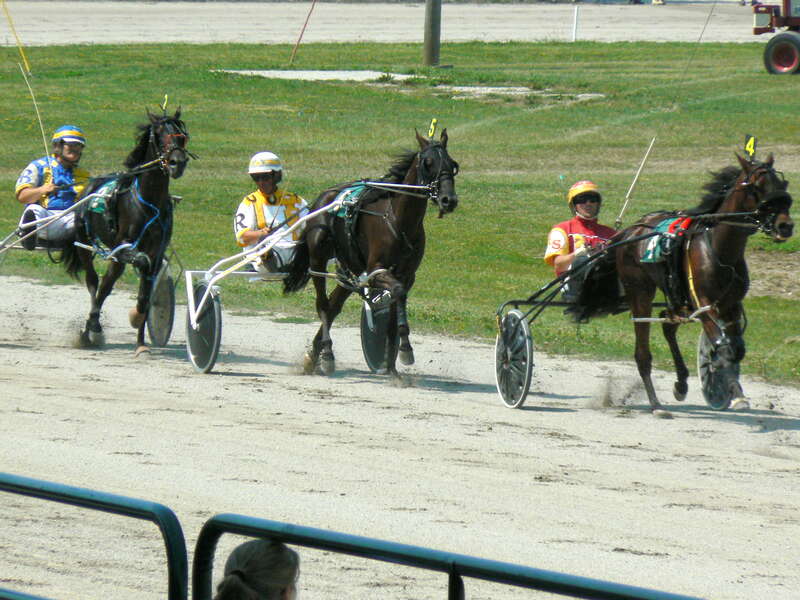 I still don't fully understand the harness racing betting system.  Number 3, not pictured, won the race.
