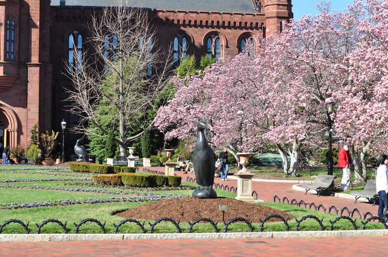 Southwest Washington, Washington, DC, USA