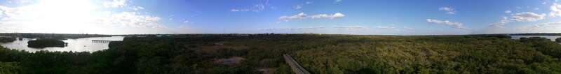 360 Degree Panorama of Wheedon Island Preserve in St. Petersburg, Florida.  Picture taken from Observation Tower.