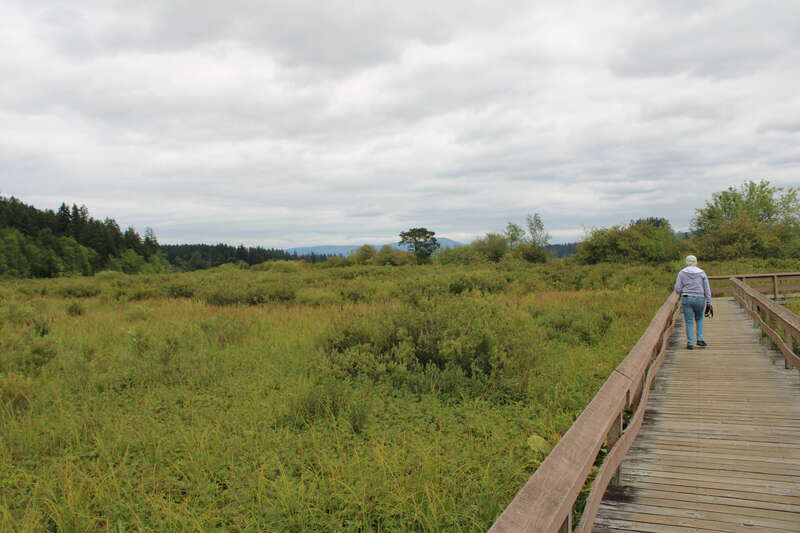 The Silver Lake Wetland Haven Trail boardwalk.