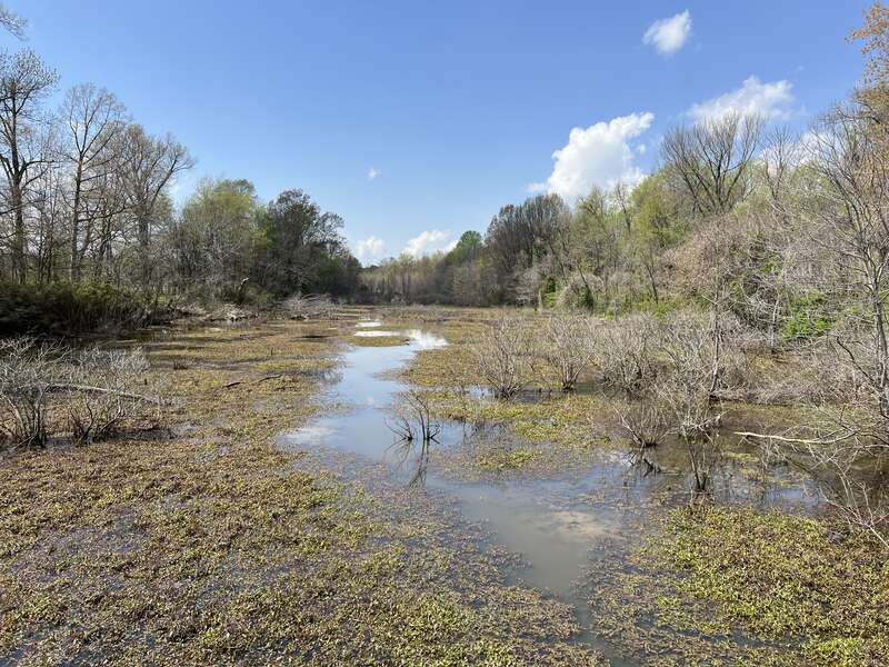 Channel surrounding the Angel Mounds State Historic Site, as photographed from the bridge connecting the visitor center to the site.