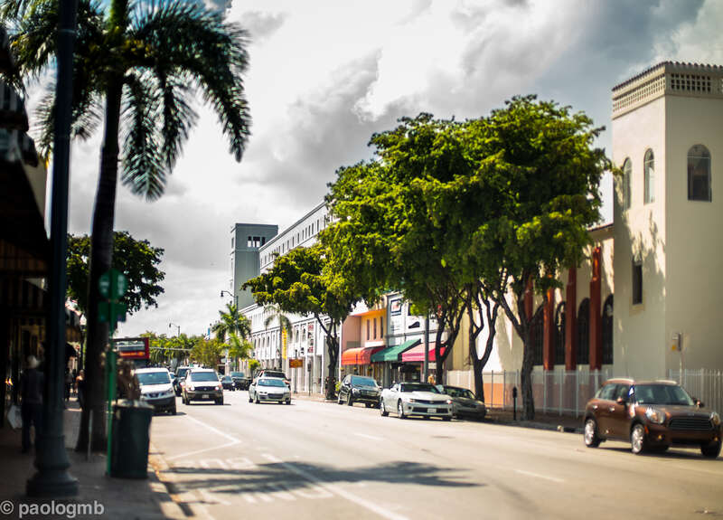 Drama street - Miami Florida 2015