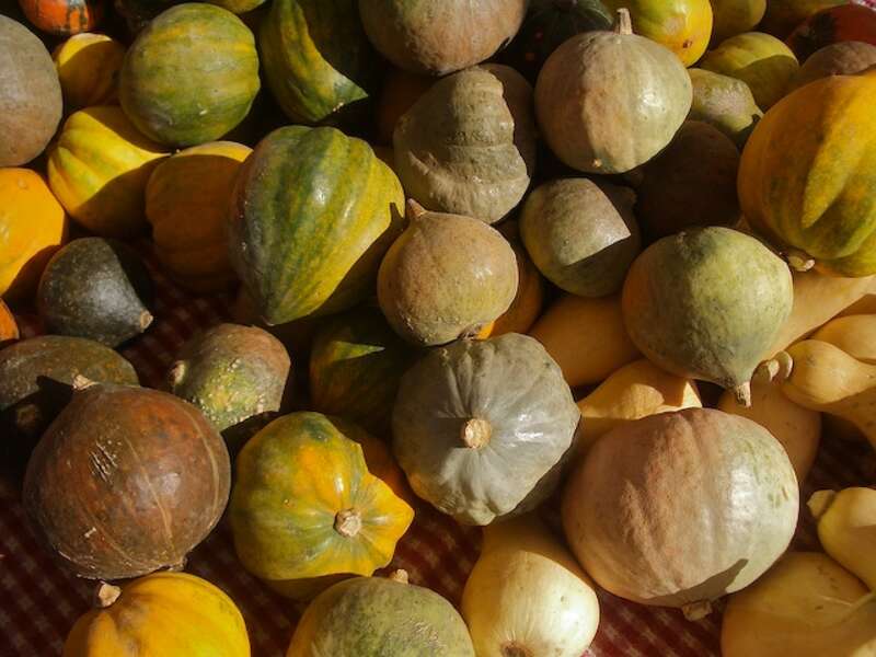 Spotted at the Farmers Market - Claremont, CA.

Pictures and Words