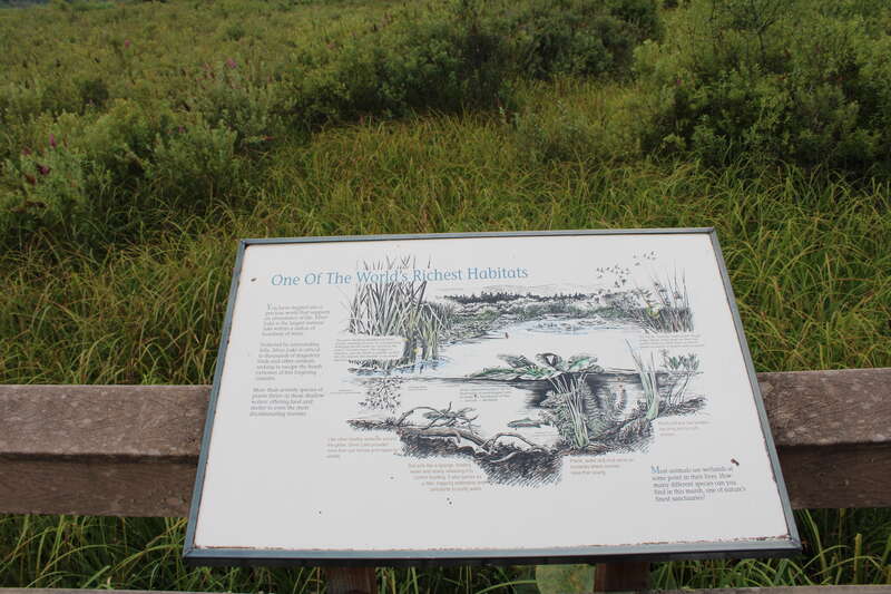 One of the World's Richest Habitats.