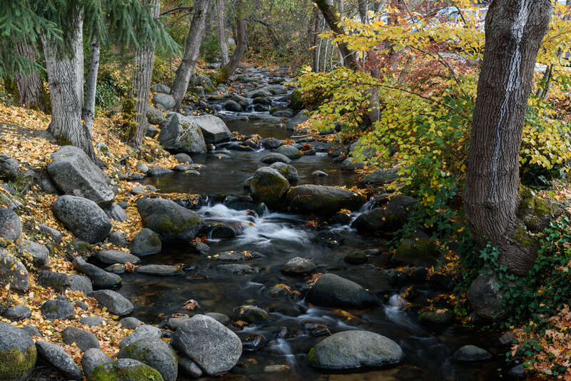 Ashland Creek, Lithia Park, Ashland, Oregon.
