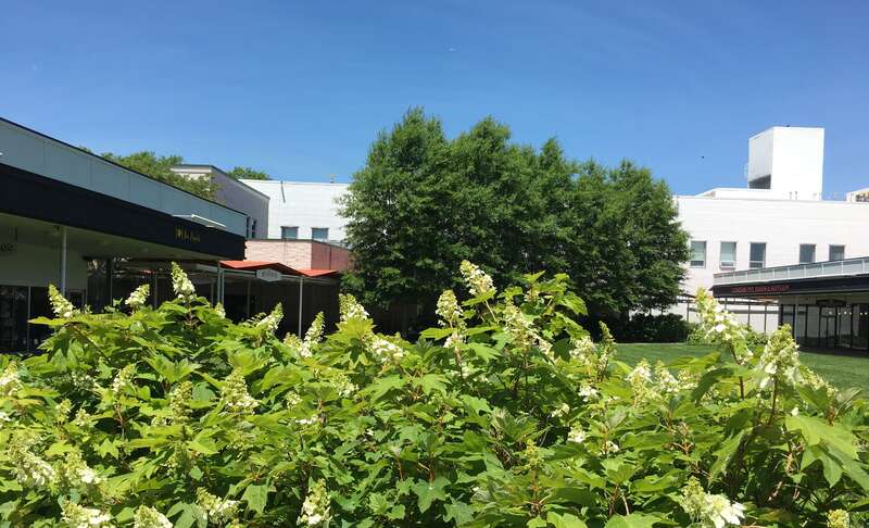 Northernmost portion of the central courtyard of the Princeton Shopping Center on North Harrison Street in Princeton, New Jersey. A few of the shops and services can be seen, along with the two-story building that originally housed Bamberger's