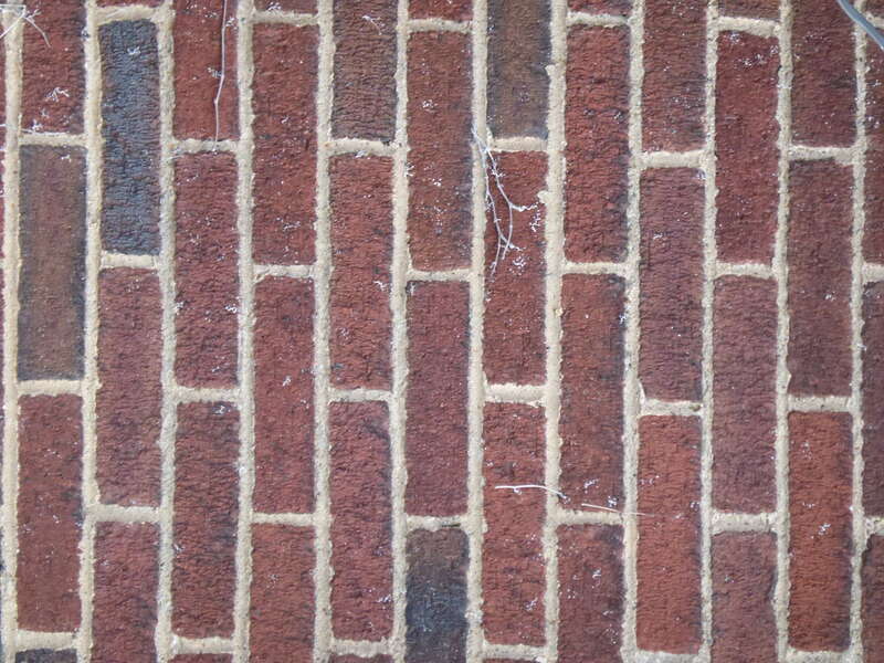 Texture of a brick wall