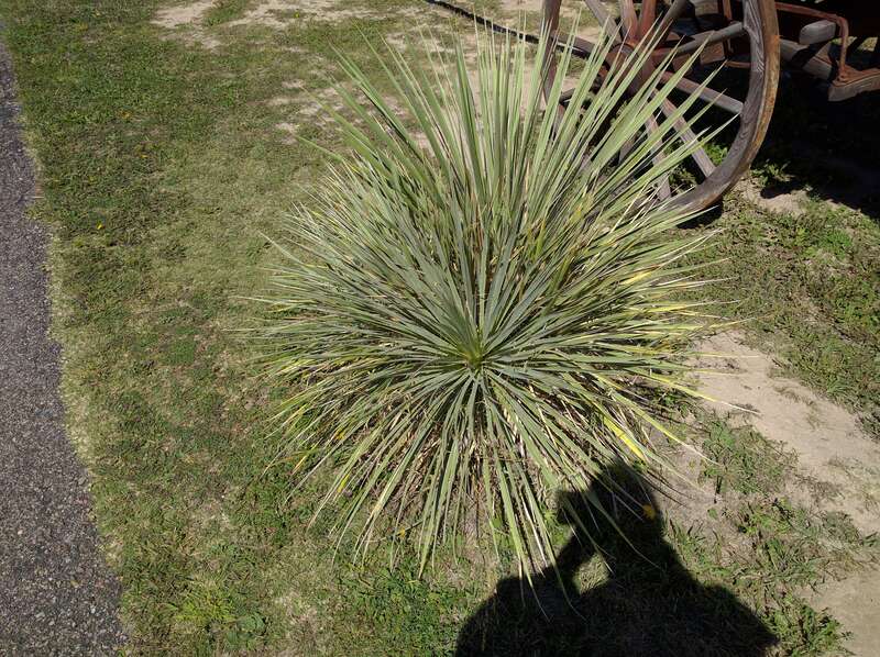 Scottsbluff, Nebraska