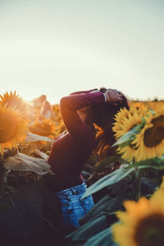 Grinter Sunflower Farms, Lawrence, United States