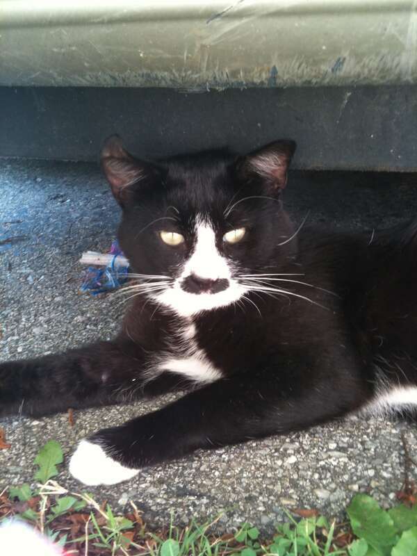 kitler!  I can't stop photographing his pretty face