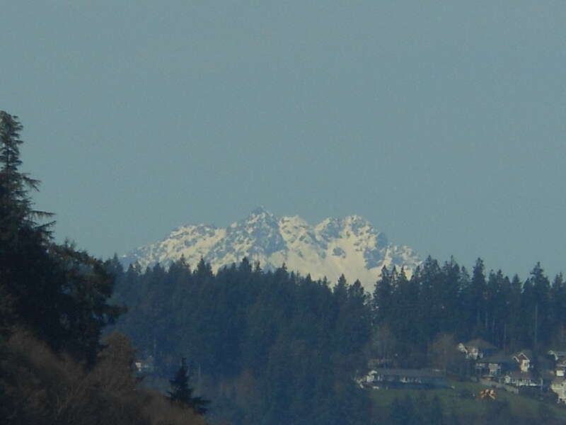 Inside Anthony's restaurant