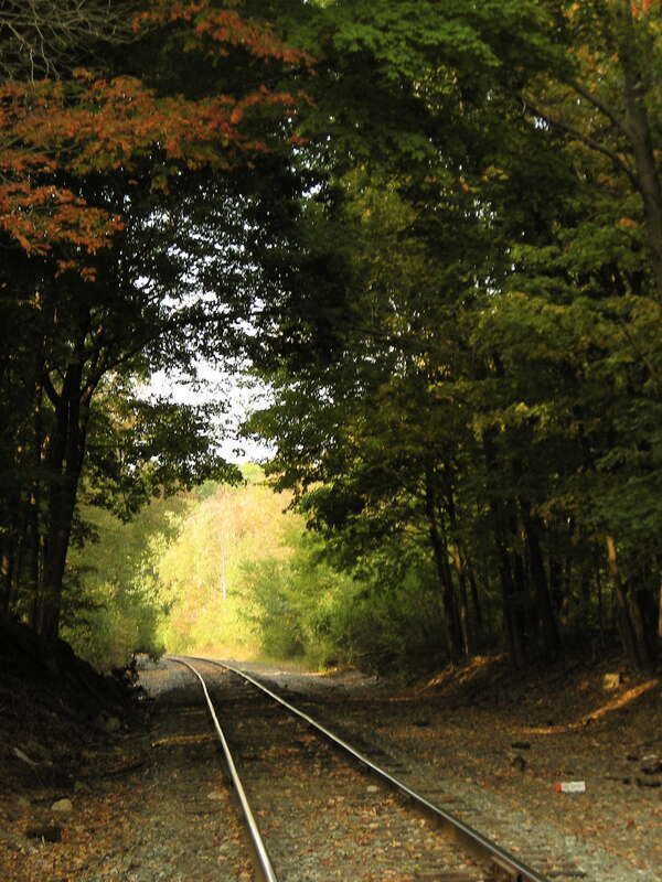 Or it might be this one.