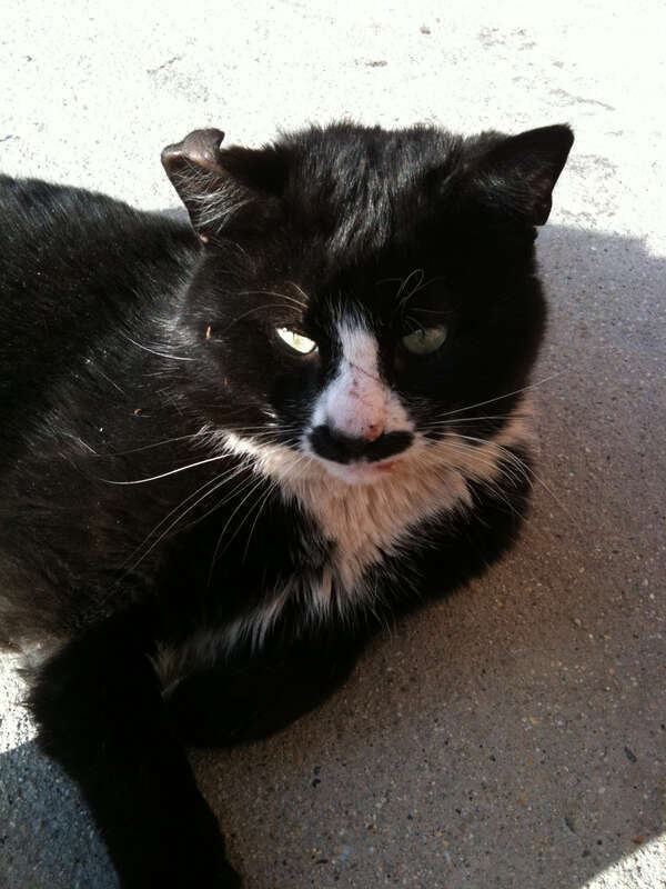 Kitler looks kind of ragged these days