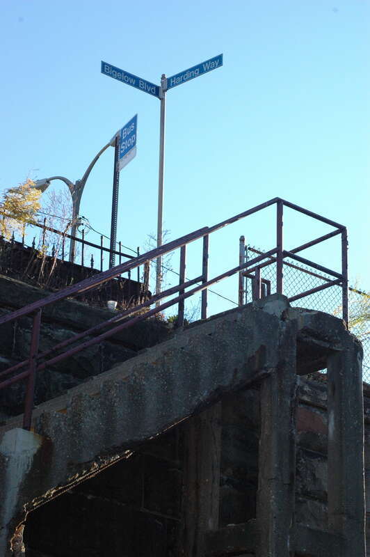 it's pretty fun, Harding Way in Polish Hill becomes a set of steps to come up to Bigelow Boulevard, which it then crosses and the steps continue up to the Hill District.

here, the intersection of Harding Way and Bigelow Blvd