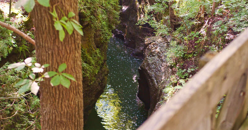 Clifton Gorge, Yellow Springs, Ohio 8-15-2020. Screenshot taken from my video youtu.be/B6ey1yMHwk8