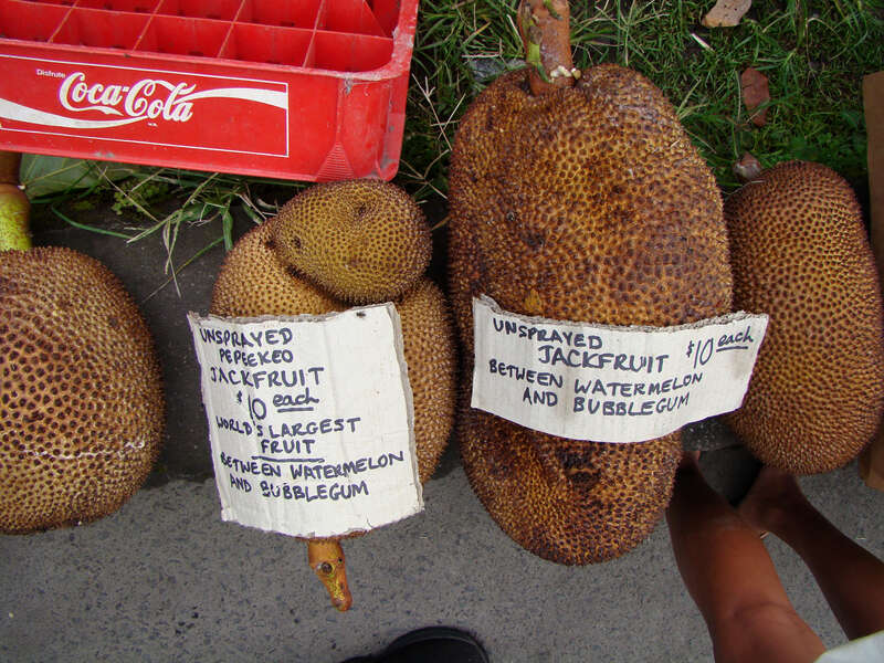 jackfruit