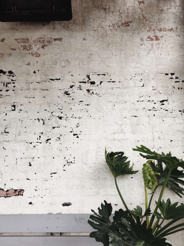 Jesse Bowser 2017-05-10