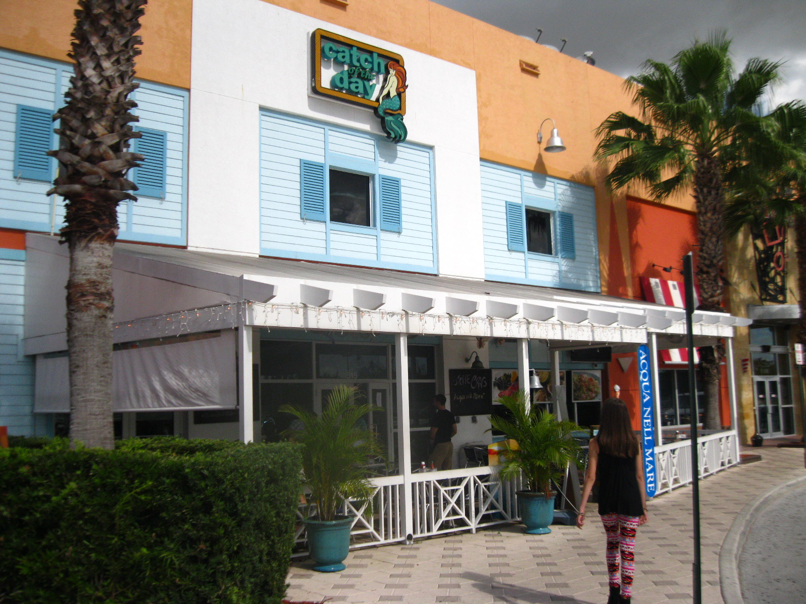 -CATCH OF THE DAY- MIAMI'S DOLPHIN MALL-